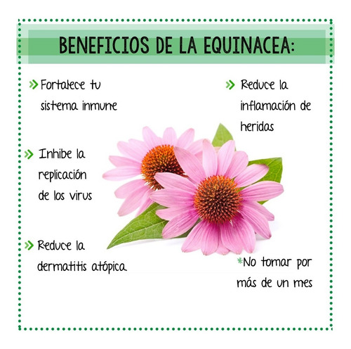 Echinacea Goldenseal 1400mg Equinacea Sello Dorado Inmune