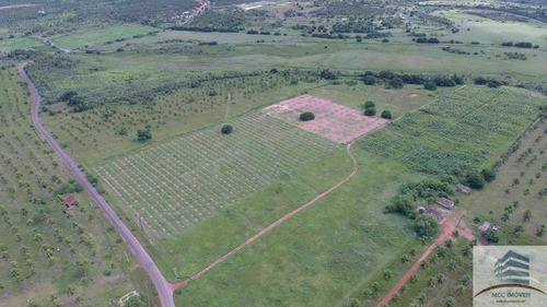 Imagem 5 de 12 de Fazenda 111ha, Santa Luzia De Touros