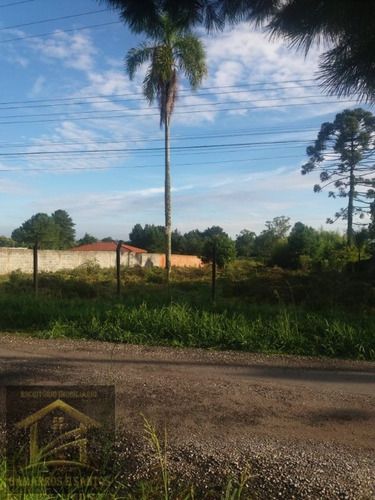 Imagem 6 de 11 de Terreno Com 2.500m² Em Quatro Barras - Te00022 - 33357972