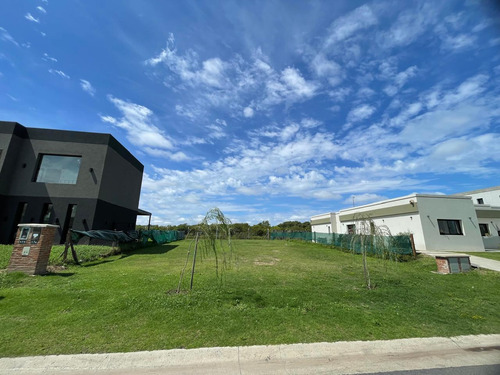 Terreno En Venta En Santa Ana