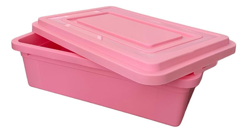 Promo X 2 Cajas Organizadoras Plastico De 36 Litros Gemplast