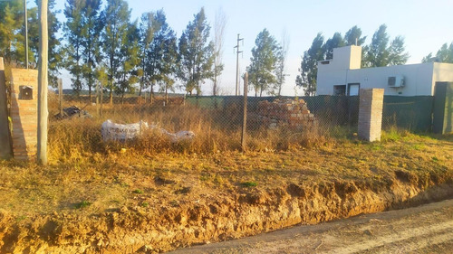 Imagen 3 de 12 de Lote 373 M2 - Tierra De Sueños 3. Calle Rigoberta Menchú.