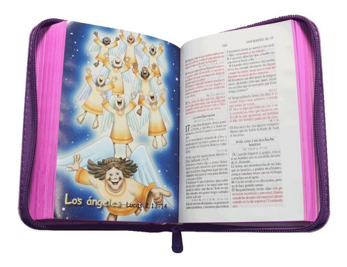 Imagen 9 de 10 de Biblia Amigos Por Siempre Rvr1960 Acolchonada Con Cierre
