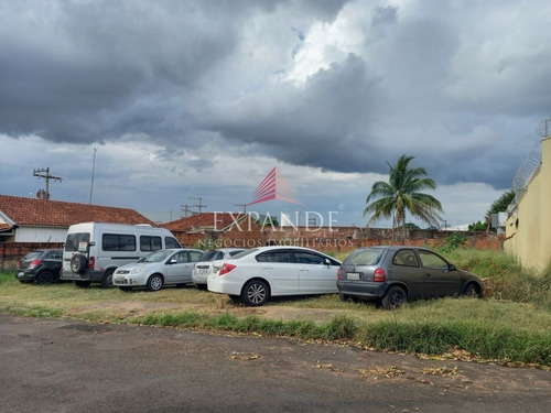 Imagem 2 de 4 de Terreno Vila Antártica - Te00360