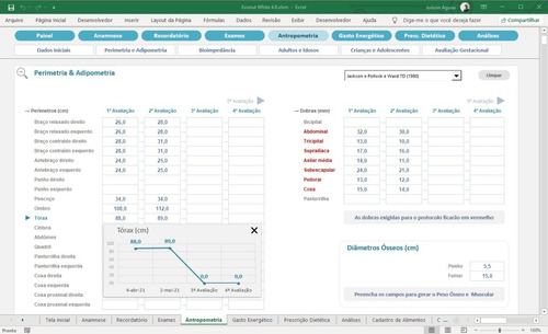 Imagem 8 de 10 de Planilha Para Atendimento Nutricional E Montagem De Dietas