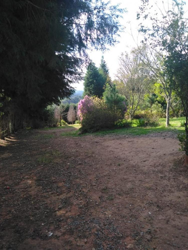 Imagem 10 de 13 de Excelente Oportunidade De Negócios Chácara Com 10.600m² De Terreno E 02 Casas - Bairro Ibiúna De Cima - Ibiúna/sp - Ch684v