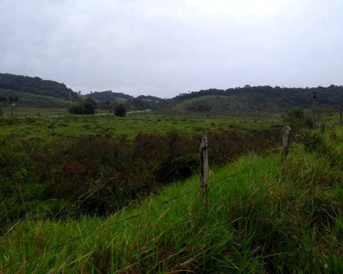 Imagem 26 de 30 de Fazenda - 0132 - 32820420