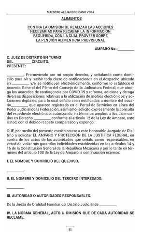 Formularios De Amparo Indirecto En Materia Familiar. Pfa3