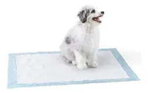 Comprar Tapetes Sanitarios Para Perros Y Cachorros 5 Capas 50 Unidad