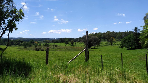 Imagen 4 de 21 de Lote En Venta 1219m2 En Puerto Rico - Loteo Clemens Blick