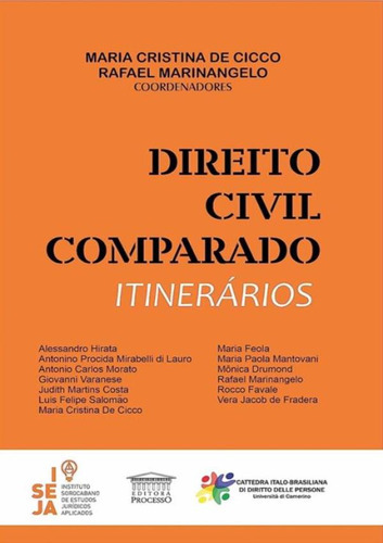 Direito Civil Comparado - Itinerarios: Direito Civil Comparado - Itinerarios, De Cicco, Maria Cristina De. Editora Processo, Capa Mole, Edição 1 Em Português, 2023