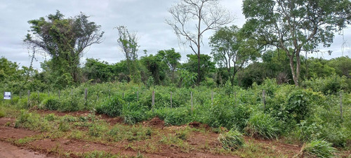 Imagen 5 de 7 de Lotes En Exclusiva Ubicación En Candelaria Misiones