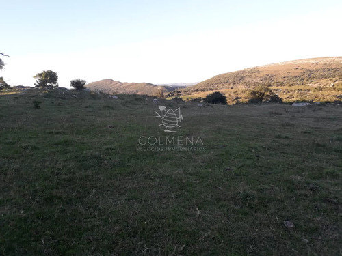 Campo 57 Has Con Casco Antiguo