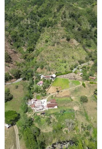 Finca Cafetera En Venta En Andes - Antioquia