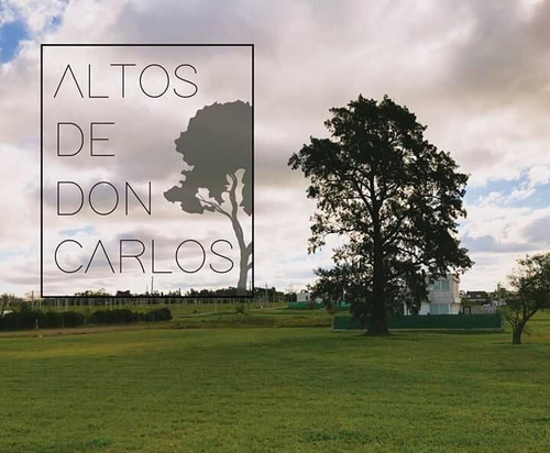 Imagen 12 de 17 de Lote De 13x30 - 138 507 Y 508 - Altos De Don Carlos I