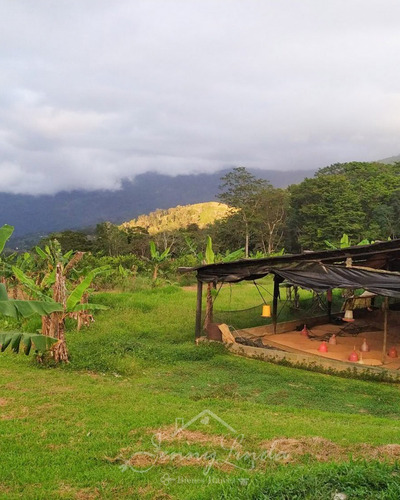 Imagen 2 de 14 de Se Vende Finca De 6,6 Has En Bejuma Carabobo