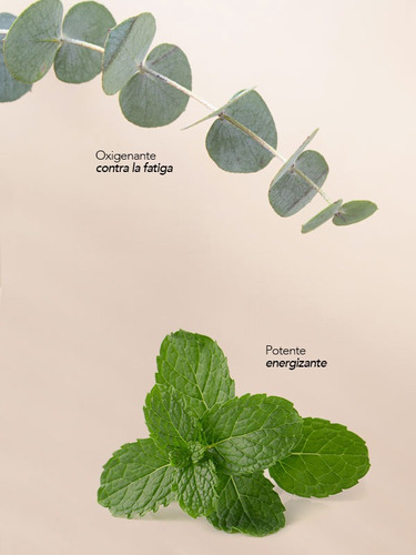 Jabón Artesanal Menta Eucalipto Natural