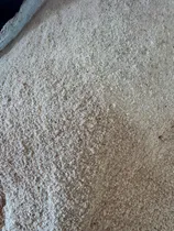 Comprar Serragem Fina Pó De Serra Para Plantas Jardinagem