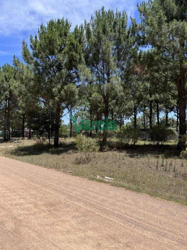 Imagen 8 de 10 de Terrenos Financiados En Nilo Park , Lomas De Solymar