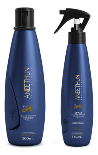 Kit Aneethun Linha A Shampoo 300ml + Spray 150ml