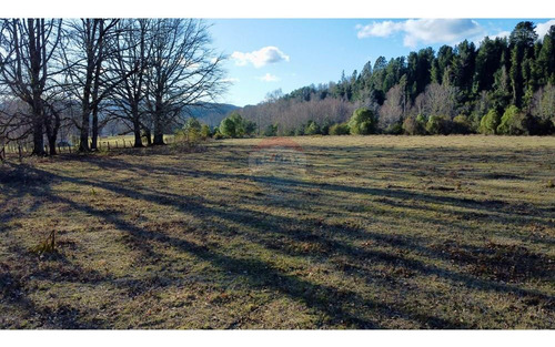 Field In Cunco Of 21.27 Ha. Incredible Opportunity