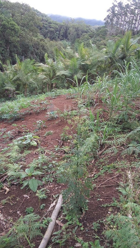Imagem 27 de 30 de Chácara Rural A Venda Em Ilhota/sc - 1684c