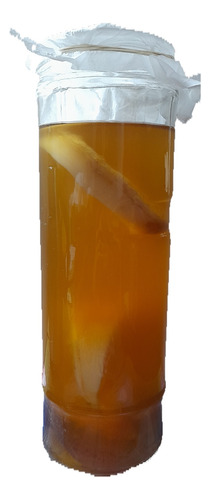 Kombucha, Scoby. Probiótico Natural. 