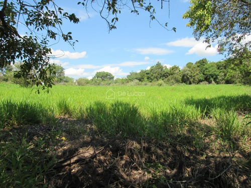 Imagem 4 de 6 de Terreno À Venda Em Sousas - Te008779