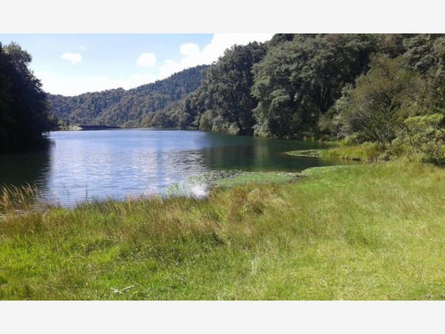 Imagen 11 de 11 de Terreno En Venta Aprovecha Esta Oportinidad, Lotes Para Cabaña Escriturados