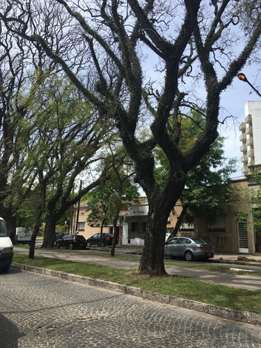 Diagonal 73 E/1 Y 2 Ph Independiente-frente-sin Expensas-pat