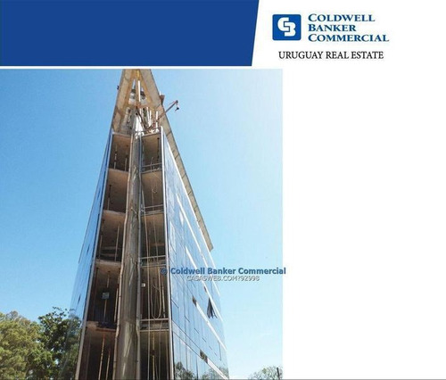 Oficina Avenida De Las Américas Alquiler