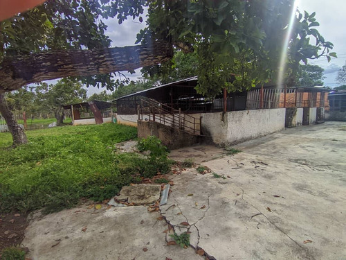 Imagen 6 de 11 de Venta De Finca En Tinaquillo Estado Cojedes Cod. 12604 Hm 04245552216