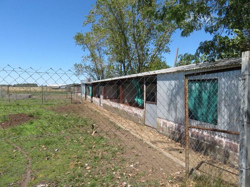 Campo En Venta En Punta Indio