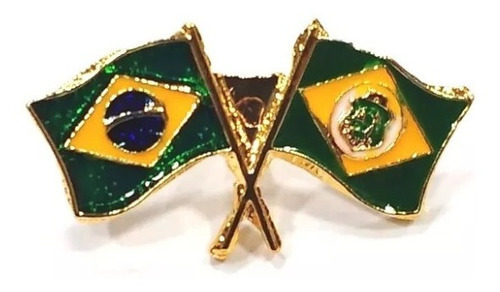 Pin Bótom Broche Bandeira Brasil X Estado Do Ceará Folheado