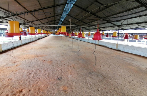 Imagen 14 de 17 de Se Vende Granja Avicola Para Inversionistas En Cantaura - Edo Anzoategui