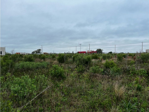Vendo Lote De 1 Hectárea En San Justo, Entre Ríos.