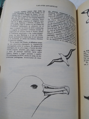 Antártida: Dirección Nacional Del Antártico (Usado)