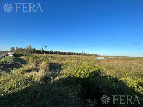 Venta De Campos En Santa Rosa - Concepción - Corrientes