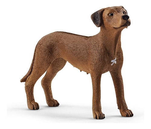 Schleich Farm World - Figurilla Educativa De Rhodesian Ridge