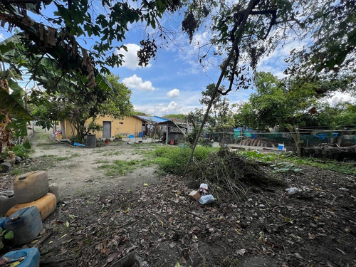 Imagen 15 de 30 de Venta Lote Con Mejora Rozo Valle Del Cauca