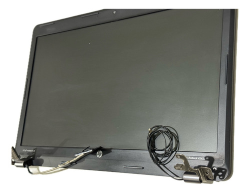 Pantalla Modulo + Flex Biagra 15.6 Led Para Hp Probook 4545s Genérica