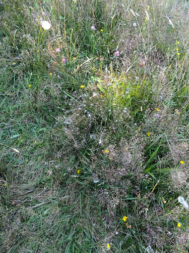 Terreno Amplio Para Proyecto De Ensueño (149130)