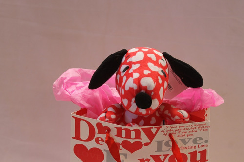 Snoopy Enamorado 14 Feb Dia De Los Enamorados Regalo