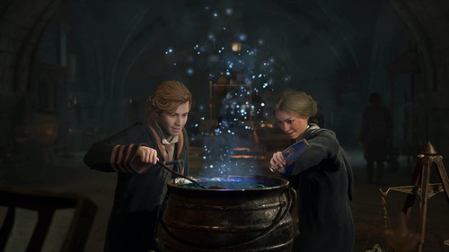 Hogwarts Digital Deluxe Edition Warner Bros. Ps4 Físico