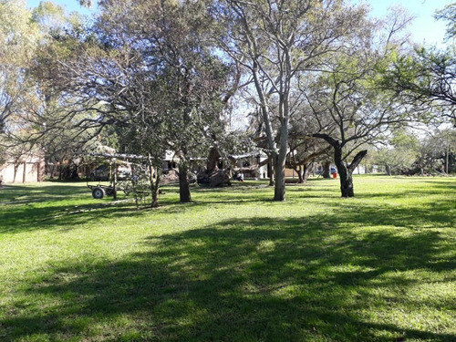 Imagen 9 de 12 de Quinta Sobre El Río Con Bajada De Lancha