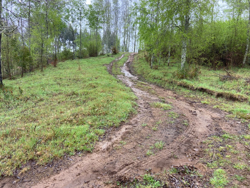 Hermosa Parcela En Altura Loteo Alto Pan, Camino Loncoche