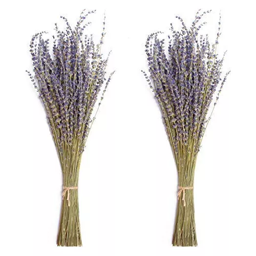 Paquetes De Lavanda Seca Natural Manojo De Lavanda Reci