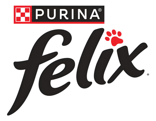 Alimento Gato Felix Pate De Salmon Lata 156g Pack 24un