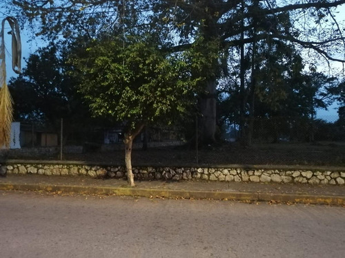 Imagen 17 de 17 de Terreno - La Piragua
