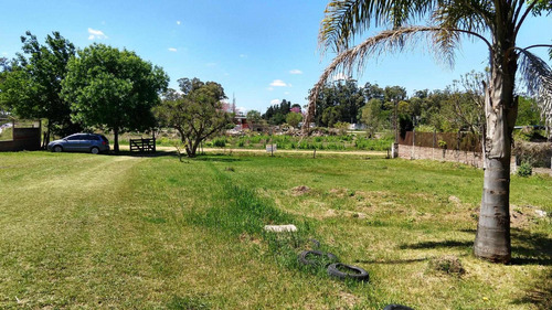 Imagen 7 de 8 de Vendo En El Rulo De Ruta 12 Y 18